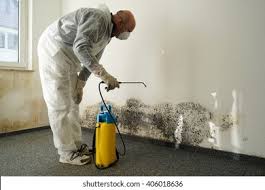 Environmental Consulting for Mold Prevention in Oregon, WI